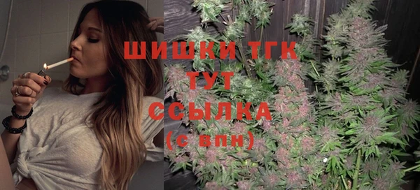 мет Каменка