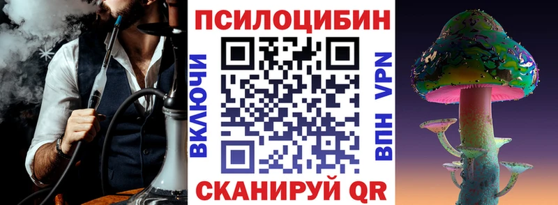 Купить  Курганинск  Галлюциногенные грибы Psilocybe 